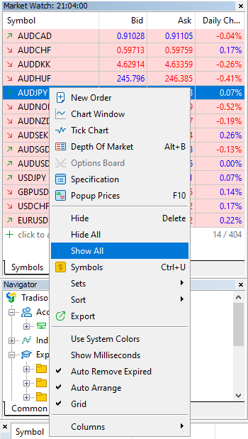 Market watch panel show all