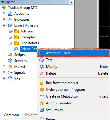 Attach EA to chart